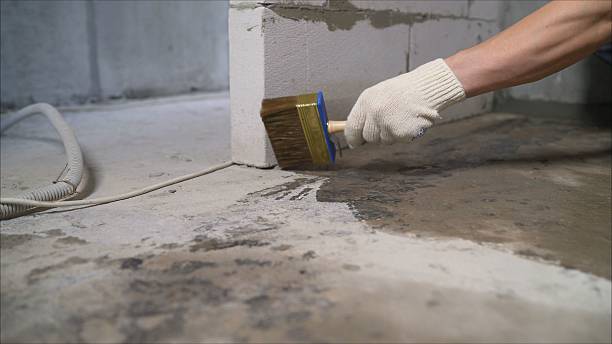 SJ Waterproofing Pros Waterproofing coverage map for Glenwood, MN and surrounding area
